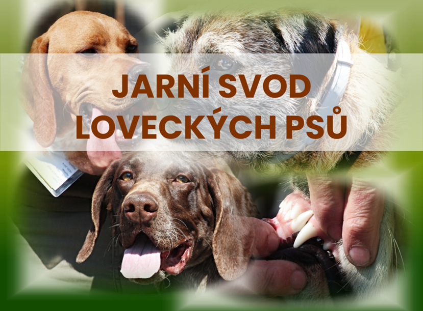 Jarní svod loveckých plemen 18.4.2026