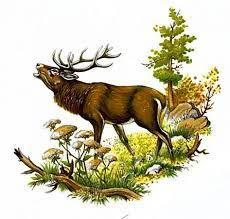 Okresní myslivecký sněm