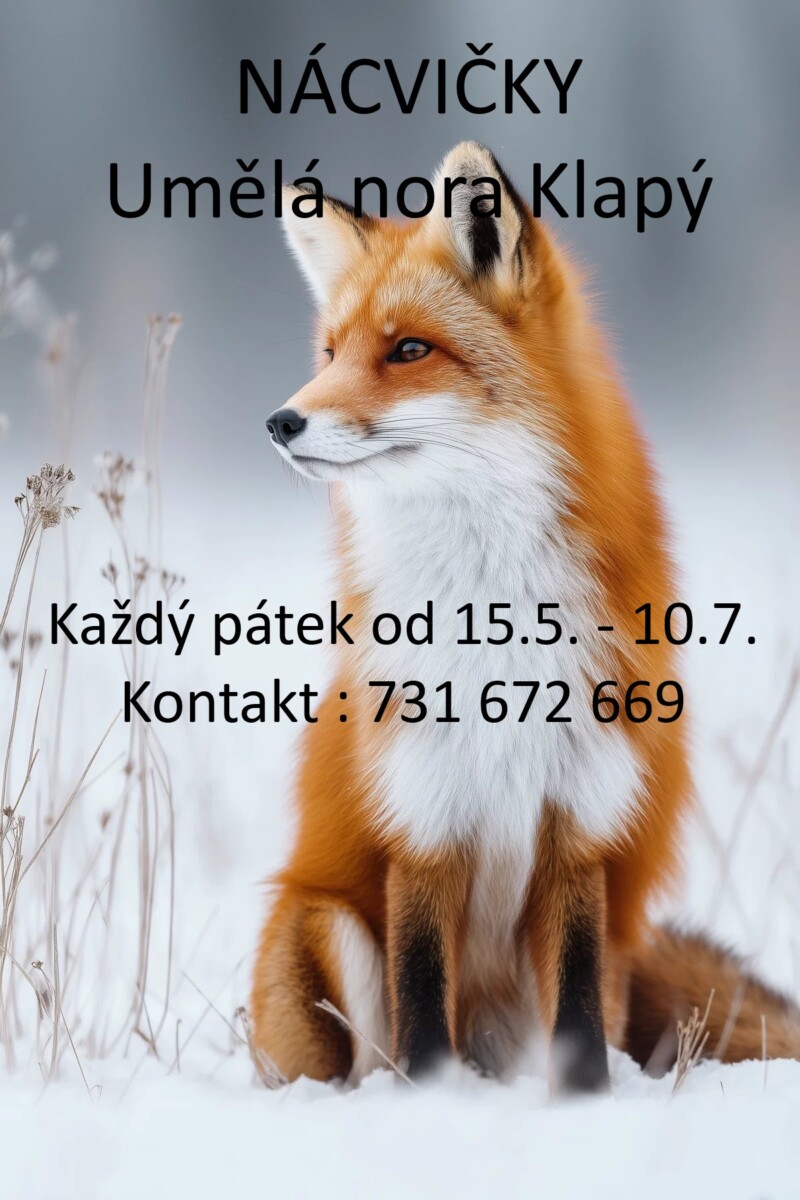 Nácvičky 15.5. – 10.7.2026